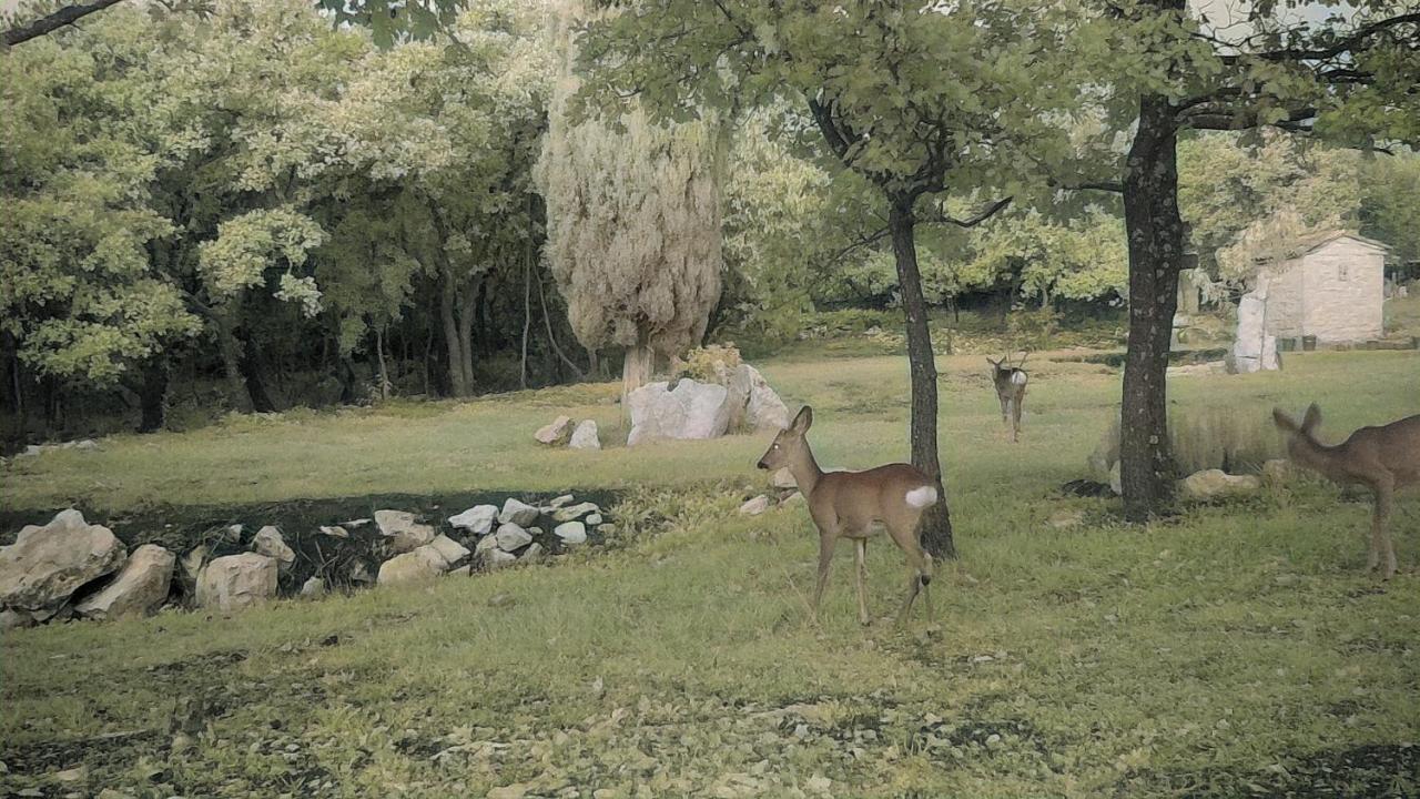 Cottage Al Merlo Olivo Буйе Екстериор снимка
