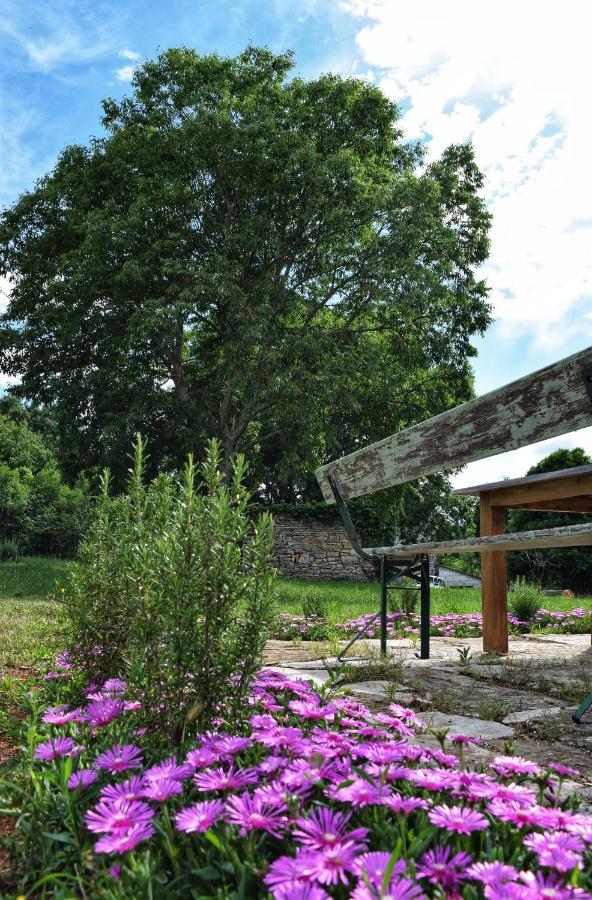 Cottage Al Merlo Olivo Буйе Екстериор снимка