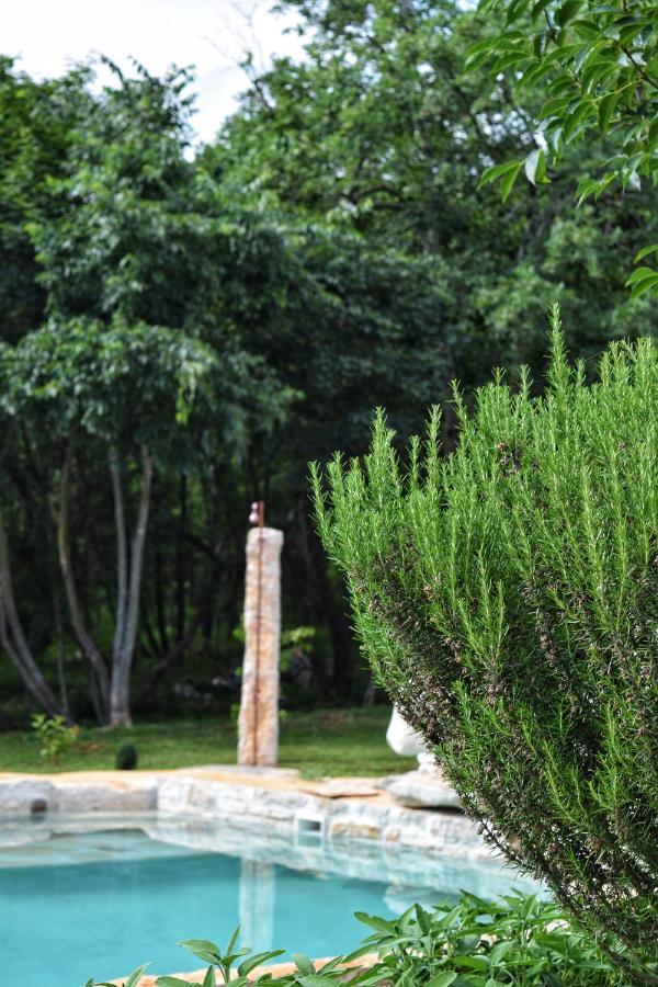 Cottage Al Merlo Olivo Буйе Екстериор снимка