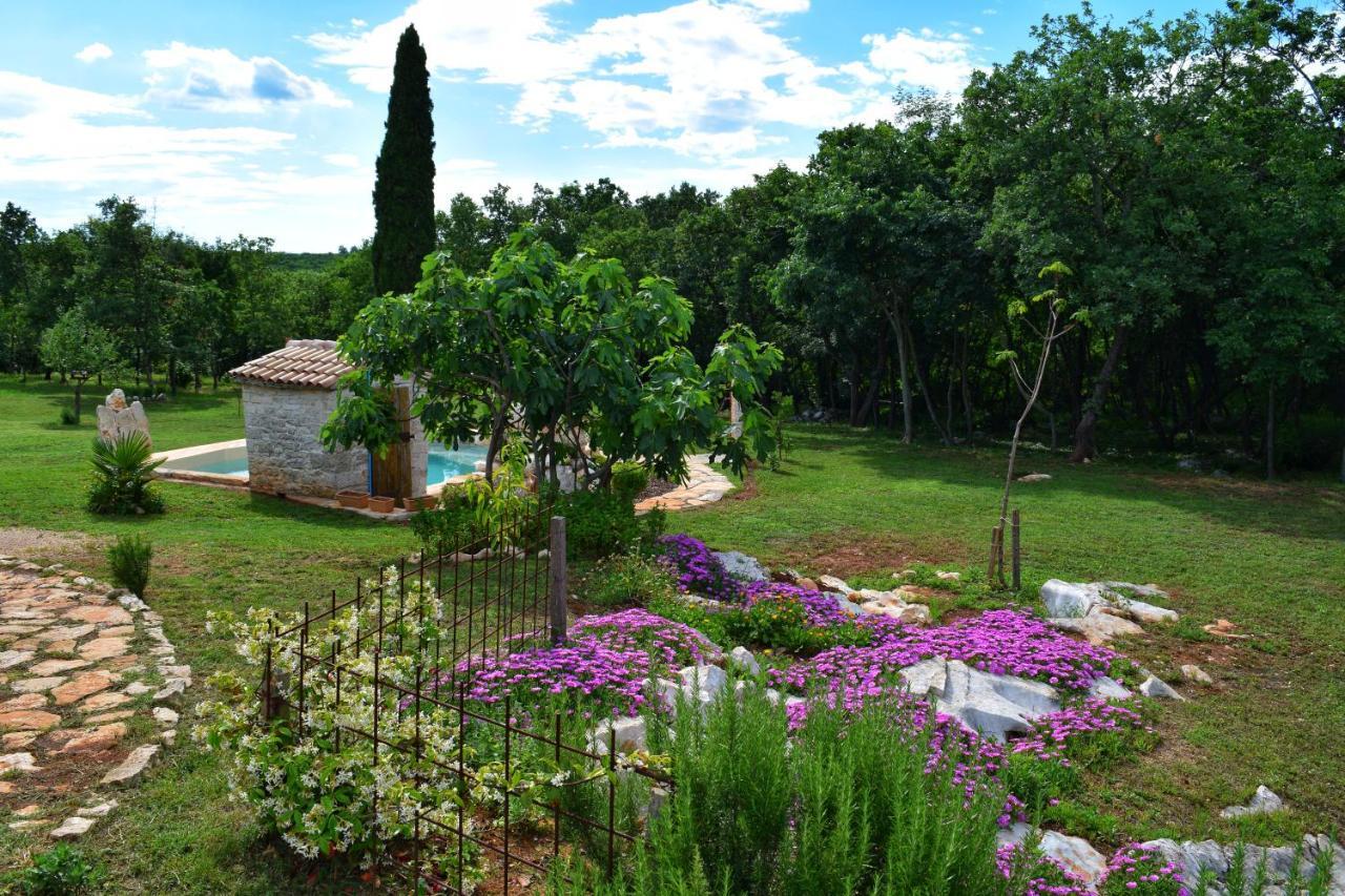 Cottage Al Merlo Olivo Буйе Екстериор снимка