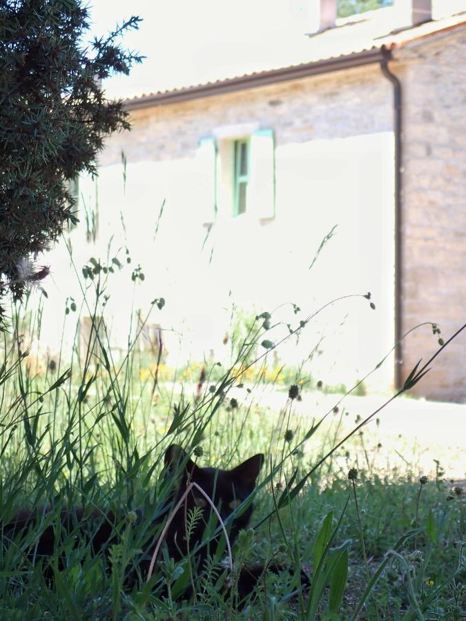 Cottage Al Merlo Olivo Буйе Екстериор снимка